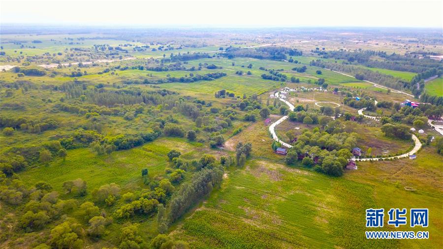 （在習近平新時代中國特色社會主義思想指引下&mdash;&mdash;新時代新作為新篇章&middot;習近平總書記關切事&middot;圖文互動）（1）綠意，在黃沙中鋪展&mdash;&mdash;我國防沙治沙紀實