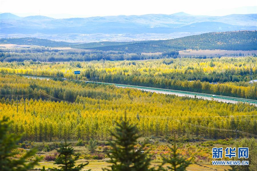 （在習近平新時代中國特色社會主義思想指引下&mdash;&mdash;新時代新作為新篇章&middot;習近平總書記關切事&middot;圖文互動）（7）綠意，在黃沙中鋪展&mdash;&mdash;我國防沙治沙紀實