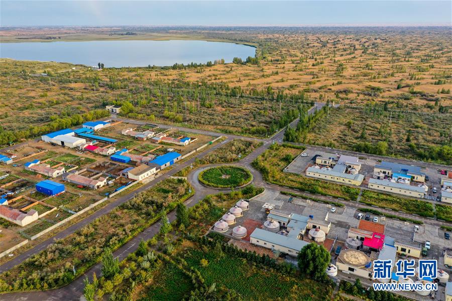 （在習近平新時代中國特色社會主義思想指引下&mdash;&mdash;新時代新作為新篇章&middot;習近平總書記關切事&middot;圖文互動）（12）綠意，在黃沙中鋪展&mdash;&mdash;我國防沙治沙紀實