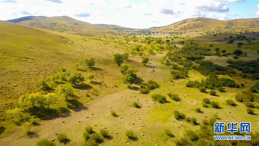 （在習近平新時代中國特色社會主義思想指引下&mdash;&mdash;新時代新作為新篇章&middot;習近平總書記關切事&middot;圖文互動）（4）綠意，在黃沙中鋪展&mdash;&mdash;我國防沙治沙紀實
