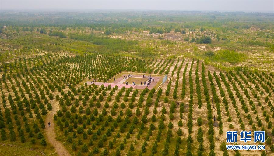 （在習近平新時代中國特色社會主義思想指引下&mdash;&mdash;新時代新作為新篇章&middot;習近平總書記關切事&middot;圖文互動）（2）綠意，在黃沙中鋪展&mdash;&mdash;我國防沙治沙紀實