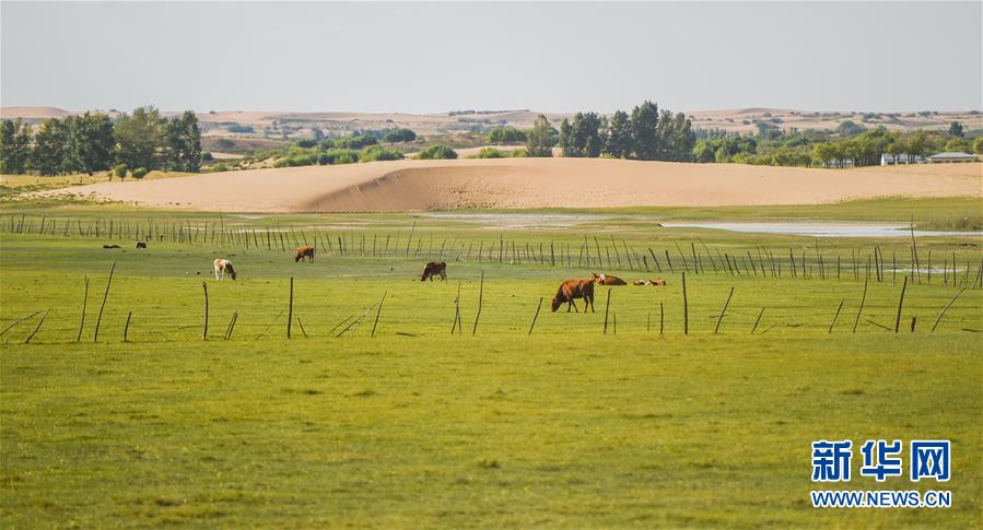 （在習近平新時代中國特色社會主義思想指引下&mdash;&mdash;新時代新作為新篇章&middot;習近平總書記關切事&middot;圖文互動）（9）綠意，在黃沙中鋪展&mdash;&mdash;我國防沙治沙紀實