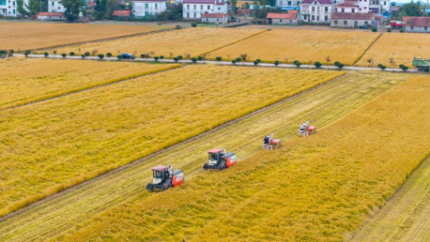 2025年高標(biāo)準(zhǔn)農(nóng)田建設(shè)一線觀察