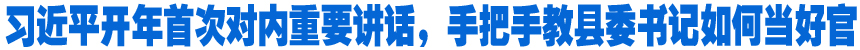 習(xí)近平開年首次對內(nèi)重要講話，手把手教縣委書記如何當好官