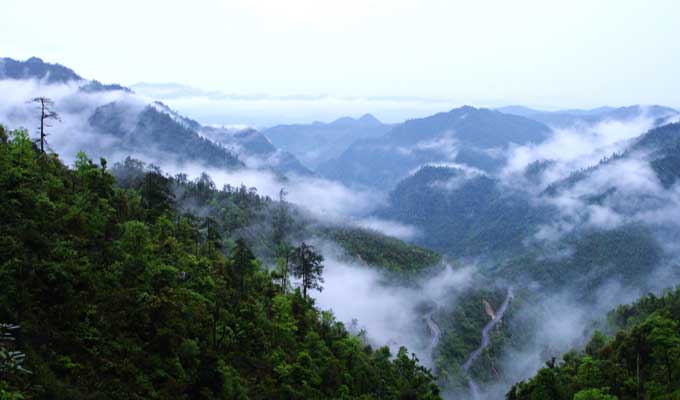 廣東乳源、廣東乳陽林場、云南華寧葫蘆口電站