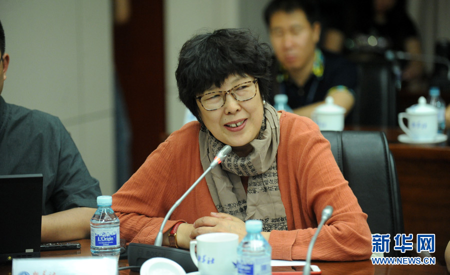 陳小波：新華人對(duì)歷史的擔(dān)當(dāng)、情感與良知