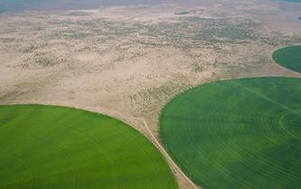 科爾沁沙地上飄動(dòng)著&ldquo;綠海&rdquo;