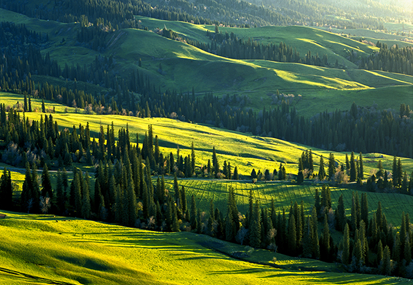 【長(zhǎng)篇通訊】塞罕壩，京城綠色屏障的前世今生