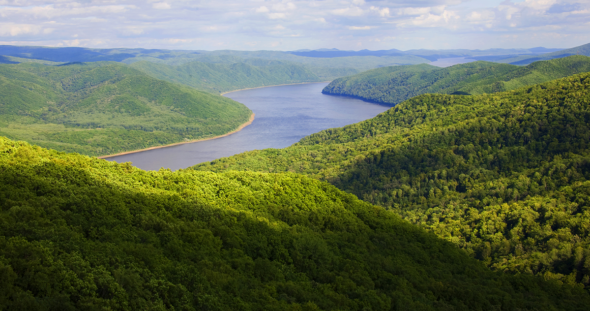 張建龍：&ldquo;三北工程&rdquo;實(shí)現(xiàn)生態(tài)、經(jīng)濟(jì)、社會(huì)效益&ldquo;多贏&rdquo;