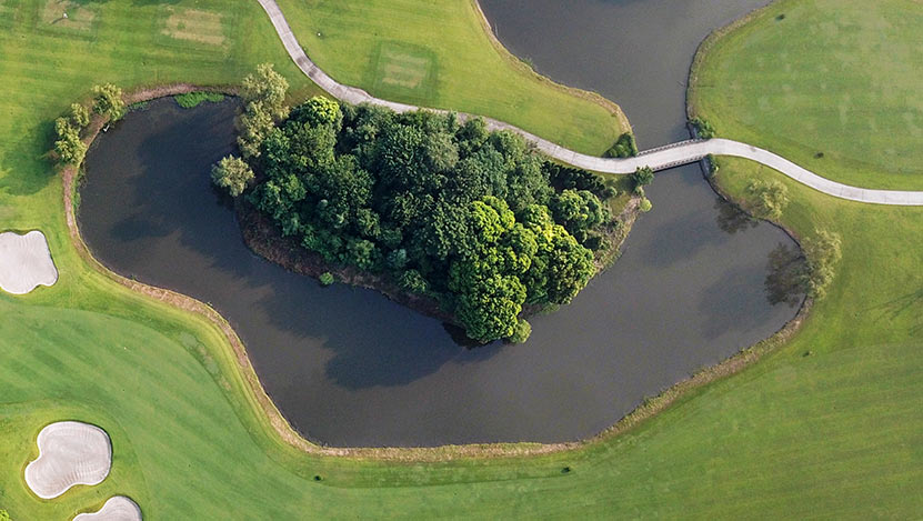 打造經濟高質量發(fā)展的強勁引擎