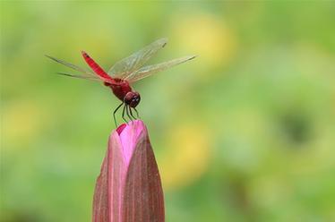 2019，精&ldquo;彩&rdquo;紛呈