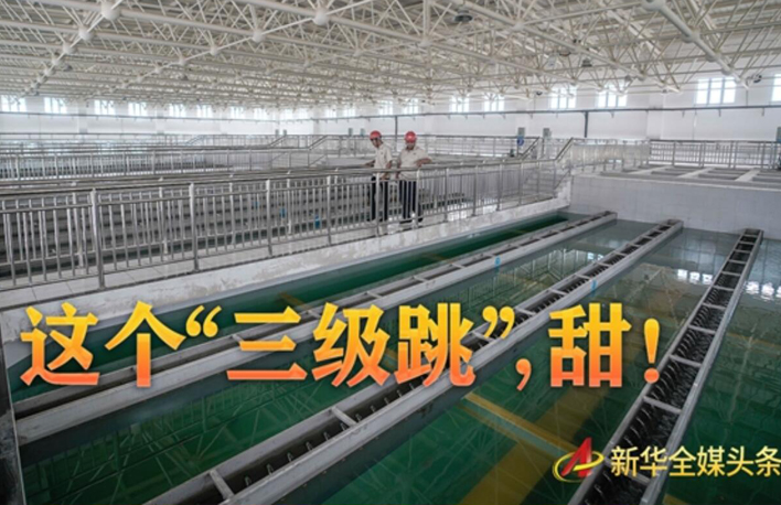 這個(gè)&ldquo;三級(jí)跳&rdquo;，甜！