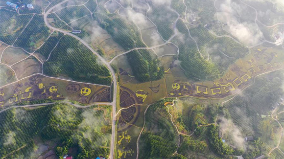 百城千縣萬村調(diào)研行｜在三峽橘鄉(xiāng)，遇見最美的田園時(shí)光！