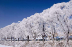 全國(guó)初雪時(shí)間表出爐 看看你離初雪還有多遠(yuǎn)？