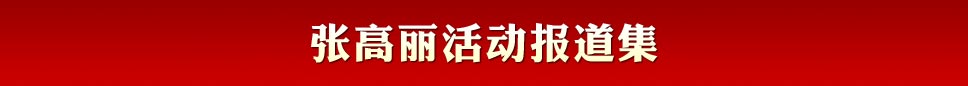 張高麗活動(dòng)報(bào)道集