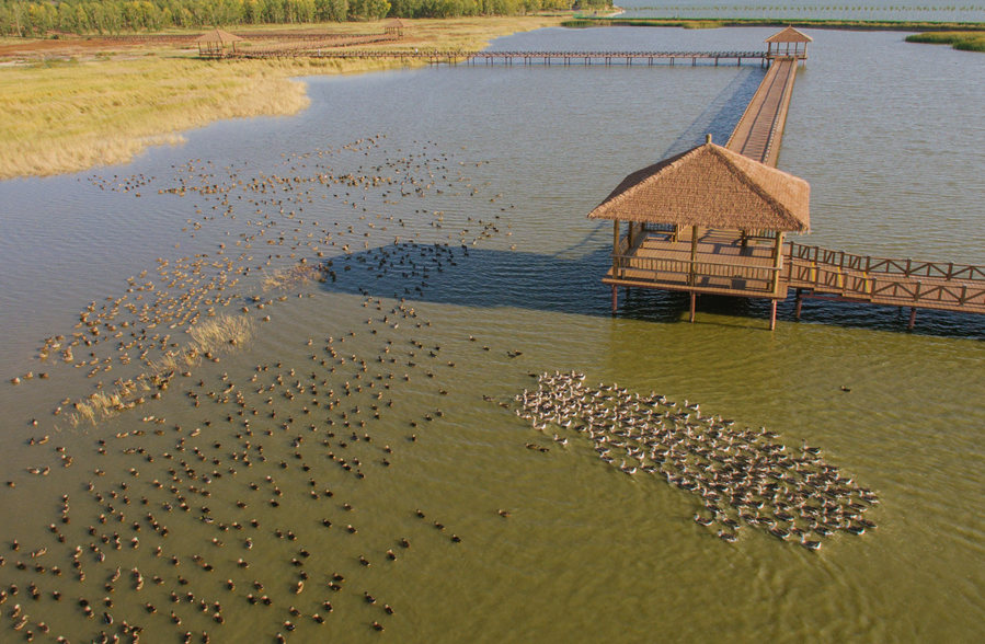 新華微評(píng)&middot;學(xué)習(xí)路上：生態(tài)興，百業(yè)旺