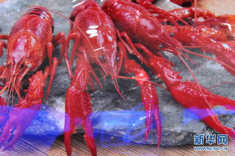 螺螄殼里做道場，小龍蝦吃出大產(chǎn)業(yè)