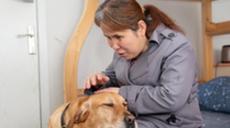 &ldquo;有你在身旁，真好&rdquo;