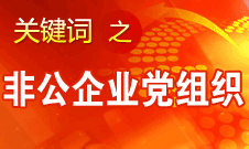 王京清：非公企業(yè)建立黨組織服務(wù)企業(yè)發(fā)展、服務(wù)員工