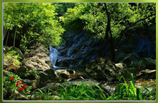 奇幽美險 中坡山森林公園