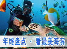 《行走》年終盤(pán)點(diǎn)&middot;看最美海濱