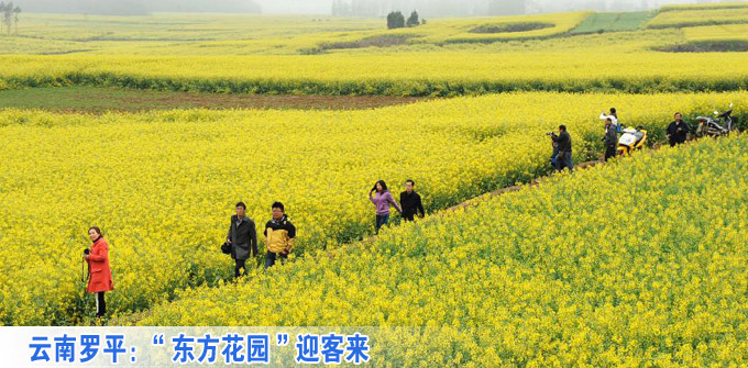 云南羅平:“東方花園”迎客來