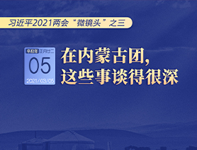 習(xí)近平2021兩會&ldquo;微鏡頭&rdquo;之三 3月5日 在內(nèi)蒙古團(tuán)，這些事談得很深