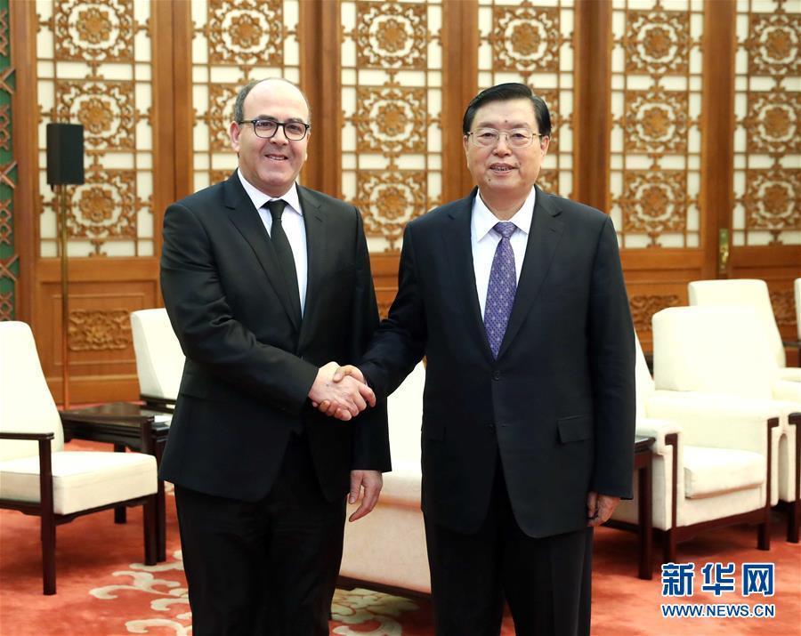 12月20日，全國人大常委會委員長張德江在北京人民大會堂會見摩洛哥參議長本希馬。新華社記者劉衛(wèi)兵攝