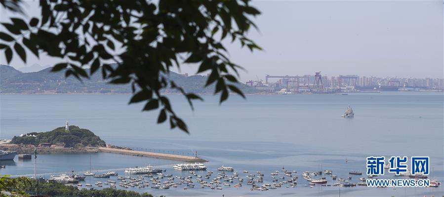 （上合青島峰會(huì)）（11）青島：花滿島城待賓朋