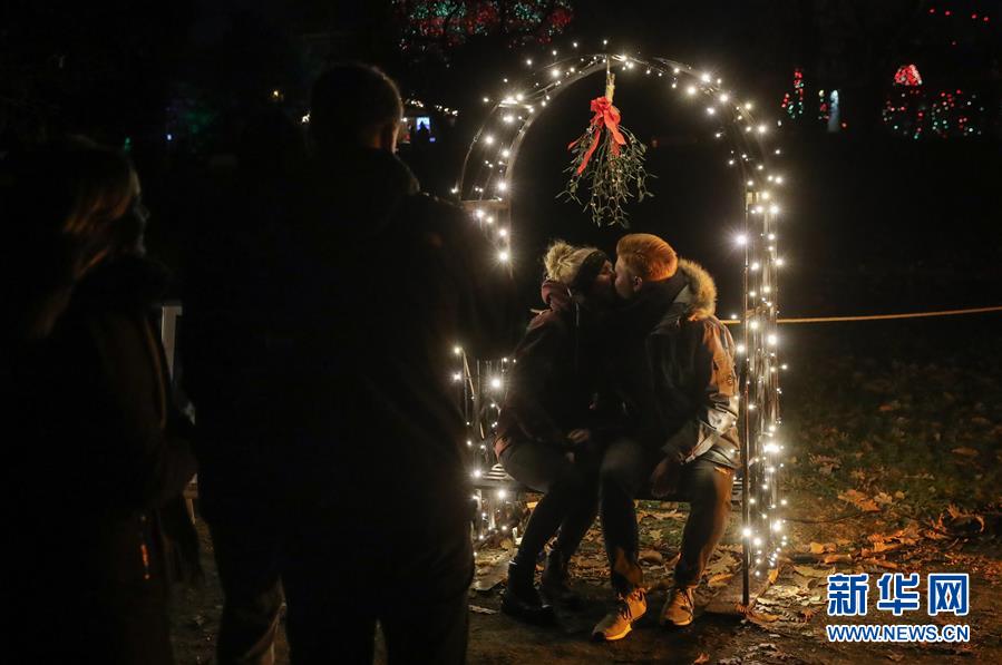 （國(guó)際）（6）&ldquo;柏林圣誕花園&rdquo;燈光秀開幕