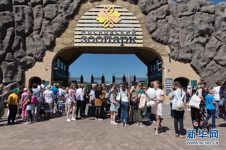 （習(xí)近平出訪配合稿&middot;圖文互動）（1）通訊：&ldquo;友誼使者&rdquo;中國大熊貓入住莫斯科新家