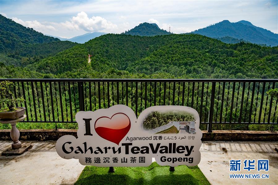 （第三屆進(jìn)博會&middot;圖文互動）（11）專訪：進(jìn)博會提供了一個共享中國發(fā)展機(jī)遇的平臺