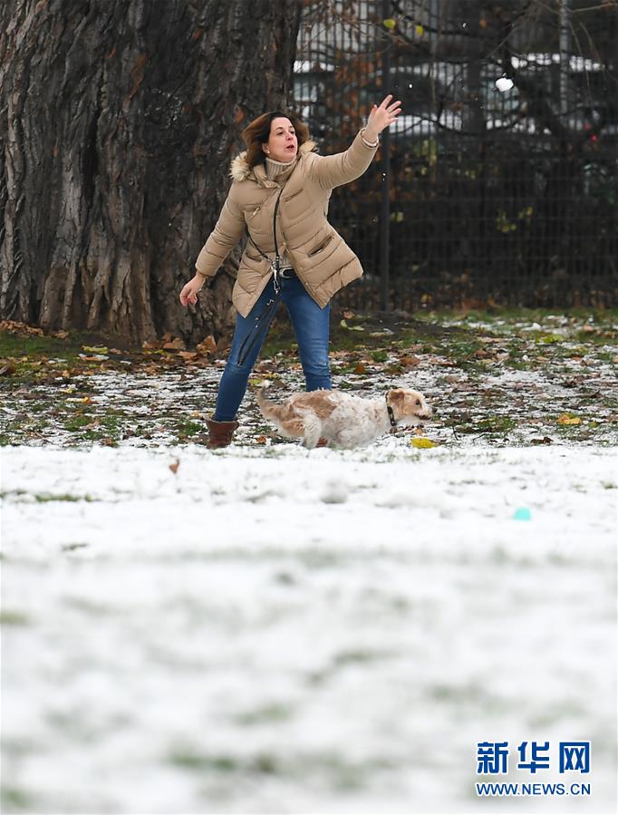 （國(guó)際）（1）雪后法蘭克福