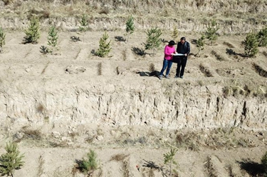 與林木結緣&mdash;&mdash;綠色是她的摯愛