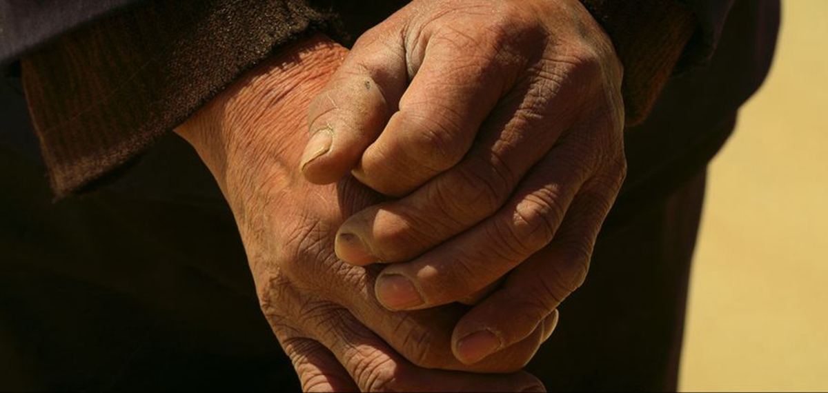 正式發(fā)布！《攜手，為人民》中國共產(chǎn)黨與世界政黨領(lǐng)導(dǎo)人峰會暖場片